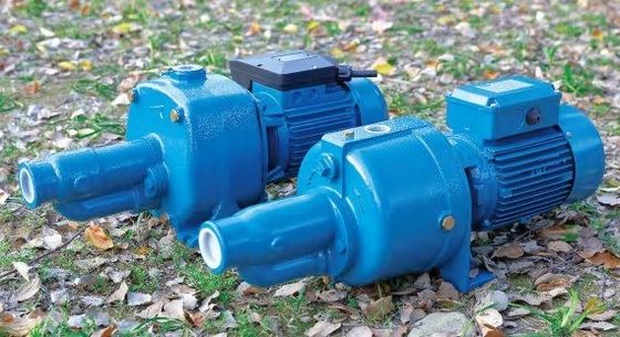 Acciaio inossidabile Jet Pump High Pressure di Mini Electric Water Pump Vortex